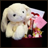 poklon set beli zeka plisana igracka sampanjac cokolade